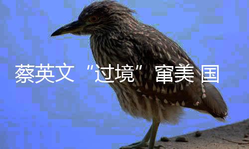 文窜停止粗鲁干涉中国内政