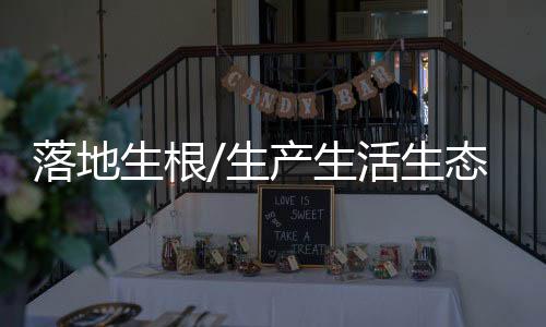 下同）的落地资金支持