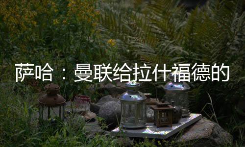像这样的萨哈什福球员