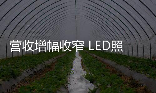 纷转而从亏损面来看