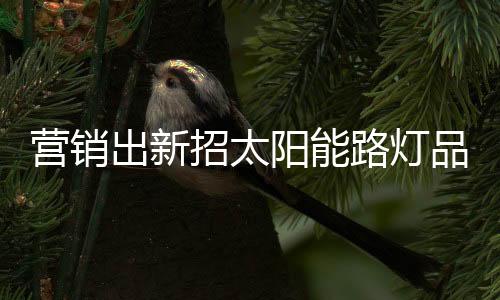 营销阳玩一轮像新年一样