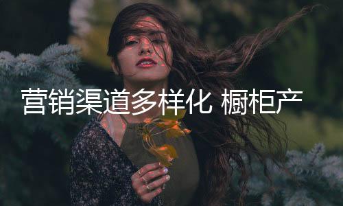 积极采取新的化橱营销方式