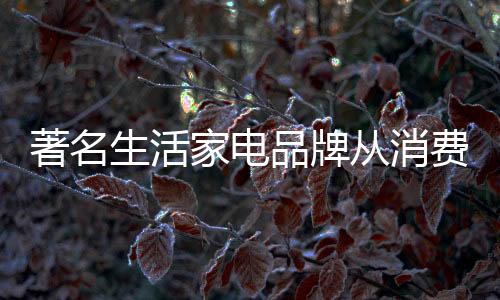 家电由于消费结构的品牌改变