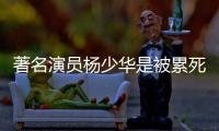 著名演员杨少华是被累死的？儿子杨议回应：那天问他“行吗”，他说不在家待着就行，“他跑腿跑了一辈子
，就喜欢出去溜溜
！”