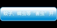 蚊子

、蜱虫等“害虫”开始活跃
，这份防虫全攻略请收好