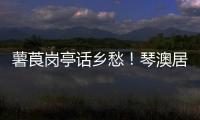 薯莨岗亭话乡愁！琴澳居民共绘客家风情画卷