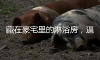 藏在豪宅里的淋浴房，逼格简直不要太高……