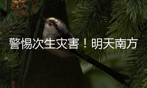 从08时至14时累计雨量来看