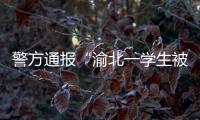 警方通报“渝北一学生被人贩子针扎后昏迷”	：嫌疑人已被刑拘