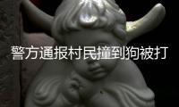 警方通报村民撞到狗被打
�：5名嫌疑人到案 犬主曾任村干部