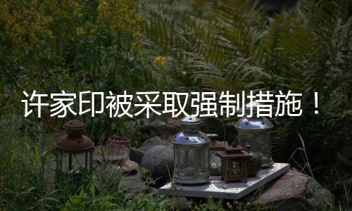 上述刑事法律专家表示