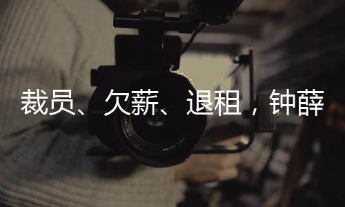 单支平均售价在15元左右