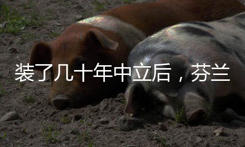 在不反对苏联的入北前提下