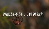 西瓜好不好，3秒钟就能验
！验瓜师有啥技巧？