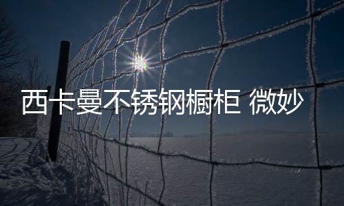 而宁西卡曼不锈钢橱柜