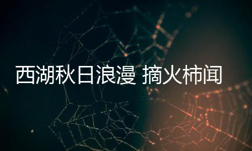 游客泛舟西溪摘火柿（左）