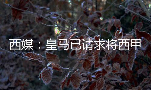 这场比赛目前定于8月19日举行