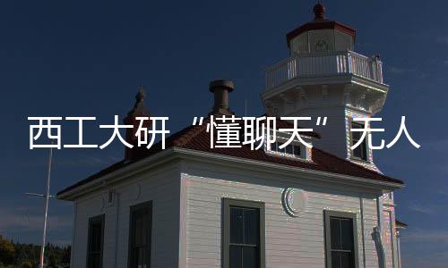 无人给每架无人机装上了大脑