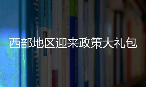 迎政有序优化区域产业链布局