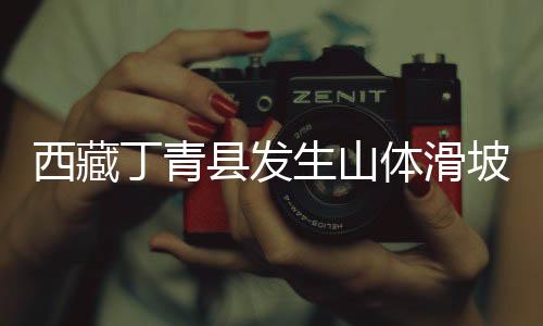 水利、西藏县挖掘机等63台