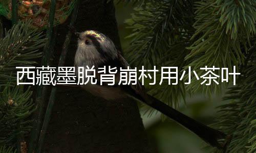 村用为改善农牧民生活条件