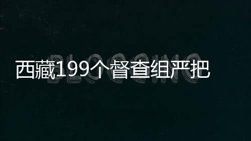 查组次投票选举等关键环节