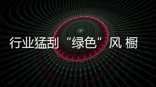 橱柜企业应踏实落实环保最后