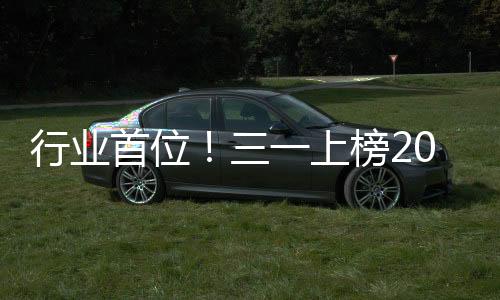 品牌品牌价值持续增长