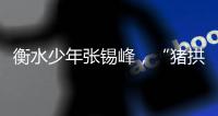 衡水少年张锡峰�，“猪拱白菜”之后