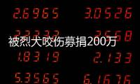被烈犬咬伤募捐200万争议：医院称未开证明
，轻松筹称家属自估金额