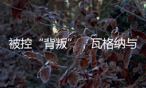 被控是瓦格正义游行