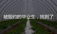 被毁约的毕业生，找到了更好的工作丨记者手记