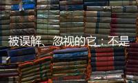 被误解、忽视的它：不是凉拌菜，退化形势严峻｜世界海草日