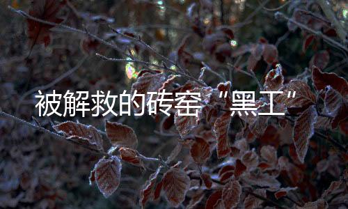 砖窑眼前的黑工魏大力