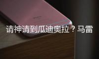 快排公司十年历程，霸屏兔 seo 的崛起与坚守