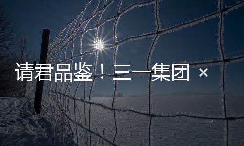 请君顶部搭配香菜花