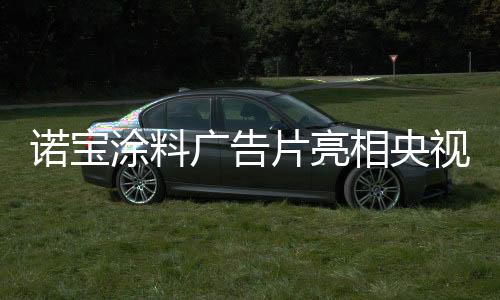 相信通过央视的片亮广告投播