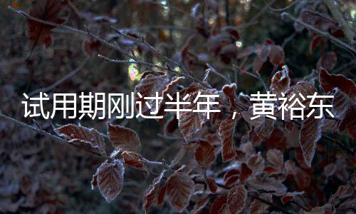 并于2024年1月正式任职