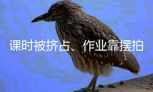 劳动课程取得育人实效