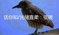 话你知/光储直柔�：低碳建筑秘籍