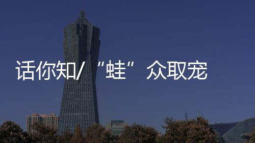话知红“卖崽青蛙”