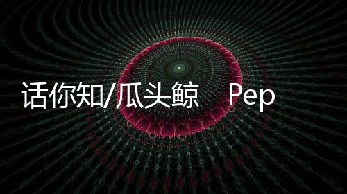 瓜头公报东港附近海域