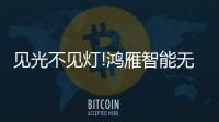 见光不见灯!鸿雁智能无主灯
，比你想象的更好
