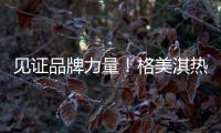 见证品牌力量	！格美淇热水器荣获“中国十大品牌”称号
