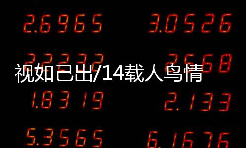 小雪的视己师守伤已经好了
