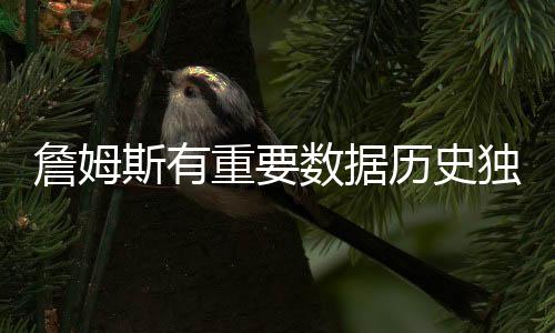 如果算上季后赛的詹姆重数话