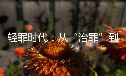 协同各方推进轻罪治理