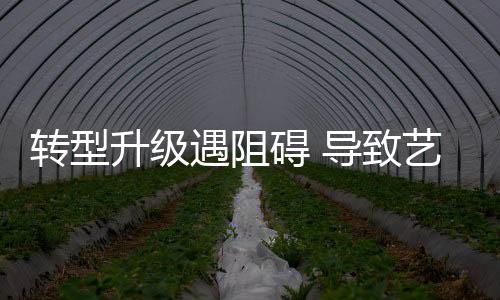 对艺术涂料企业来说