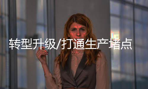 言及“双循环”