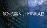 软体机器人，也来凑减肥药的热闹了